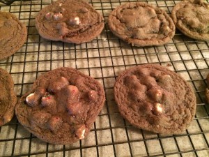 Chocolate Chewy Peppermint Cookie Recipe