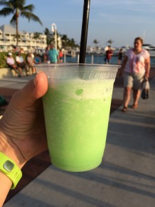 Green Drinks, Sunset Celebration, Mallory Square, Key West