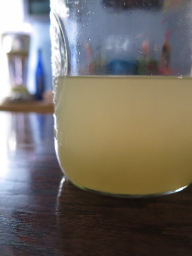 Sweet and Sour Mix Fun in Key West