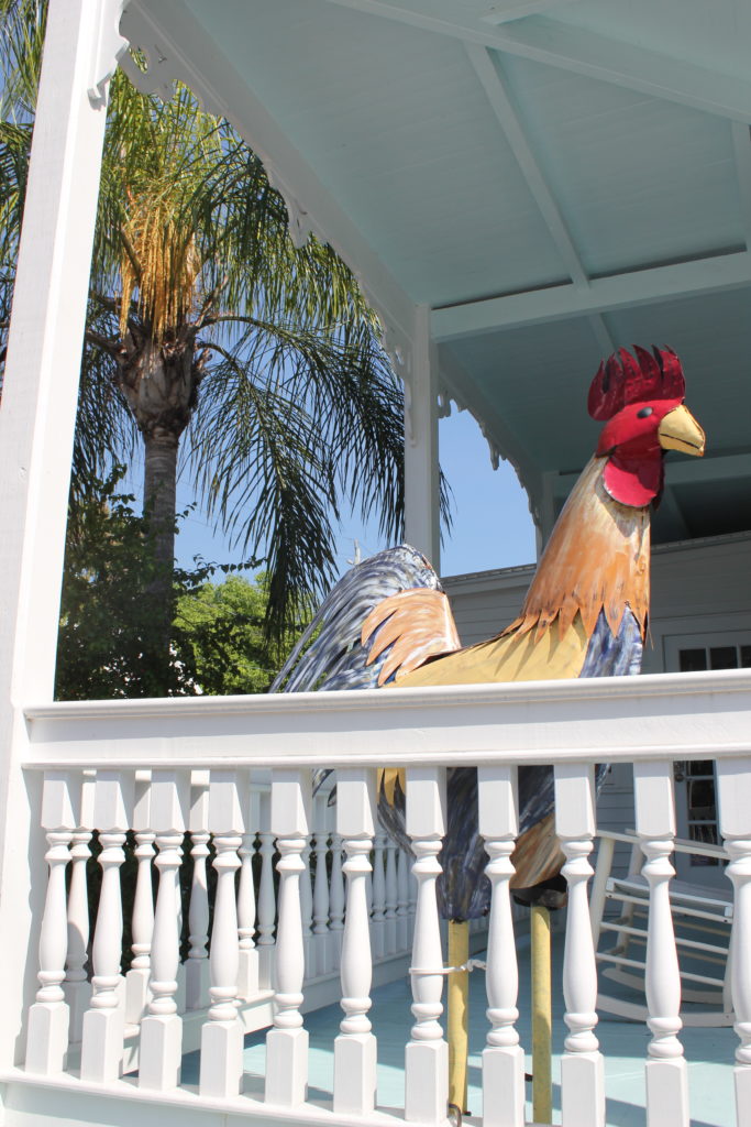 Key West Roosters