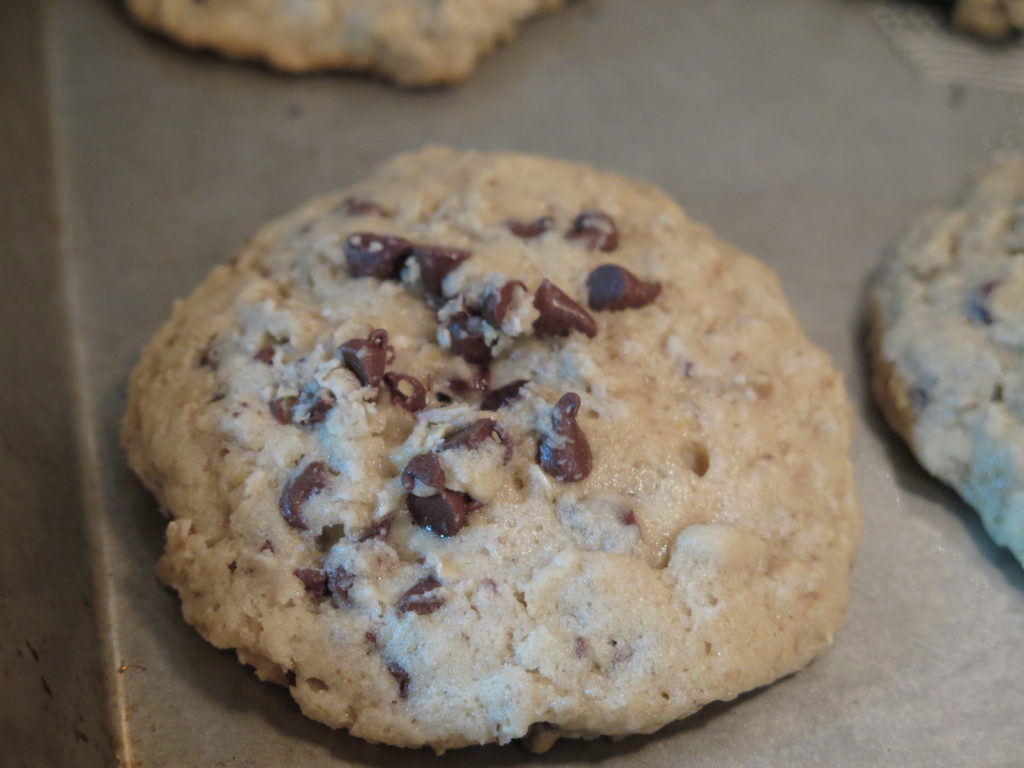 Potbelly Oatmeal Chocolate Chip Cookie Recipe Fun in Key West