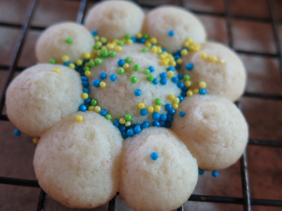 2 Best Ways to Make Pampered Chef Spritz Cookie Recipe Fun in Key West