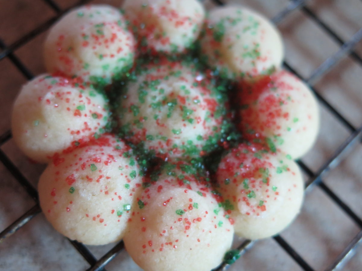 2 Best Ways to Make Pampered Chef Spritz Cookie Recipe Fun in Key West