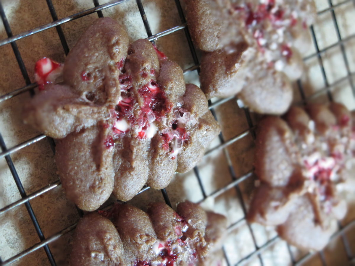 2 Best Ways to Make Pampered Chef Spritz Cookie Recipe Fun in Key West