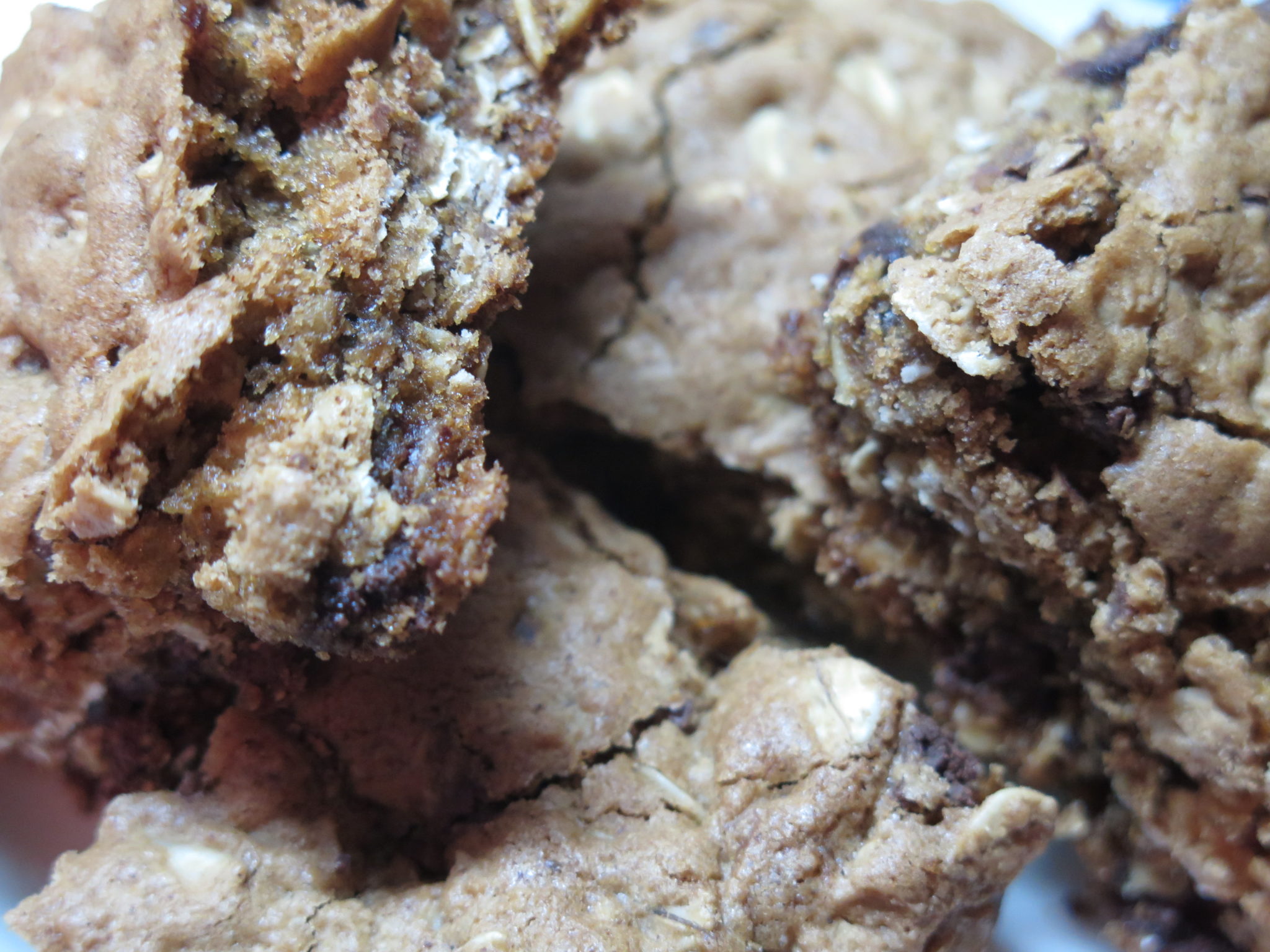 The Quickest Quaker Oats Oatmeal Cookie Recipe Ever