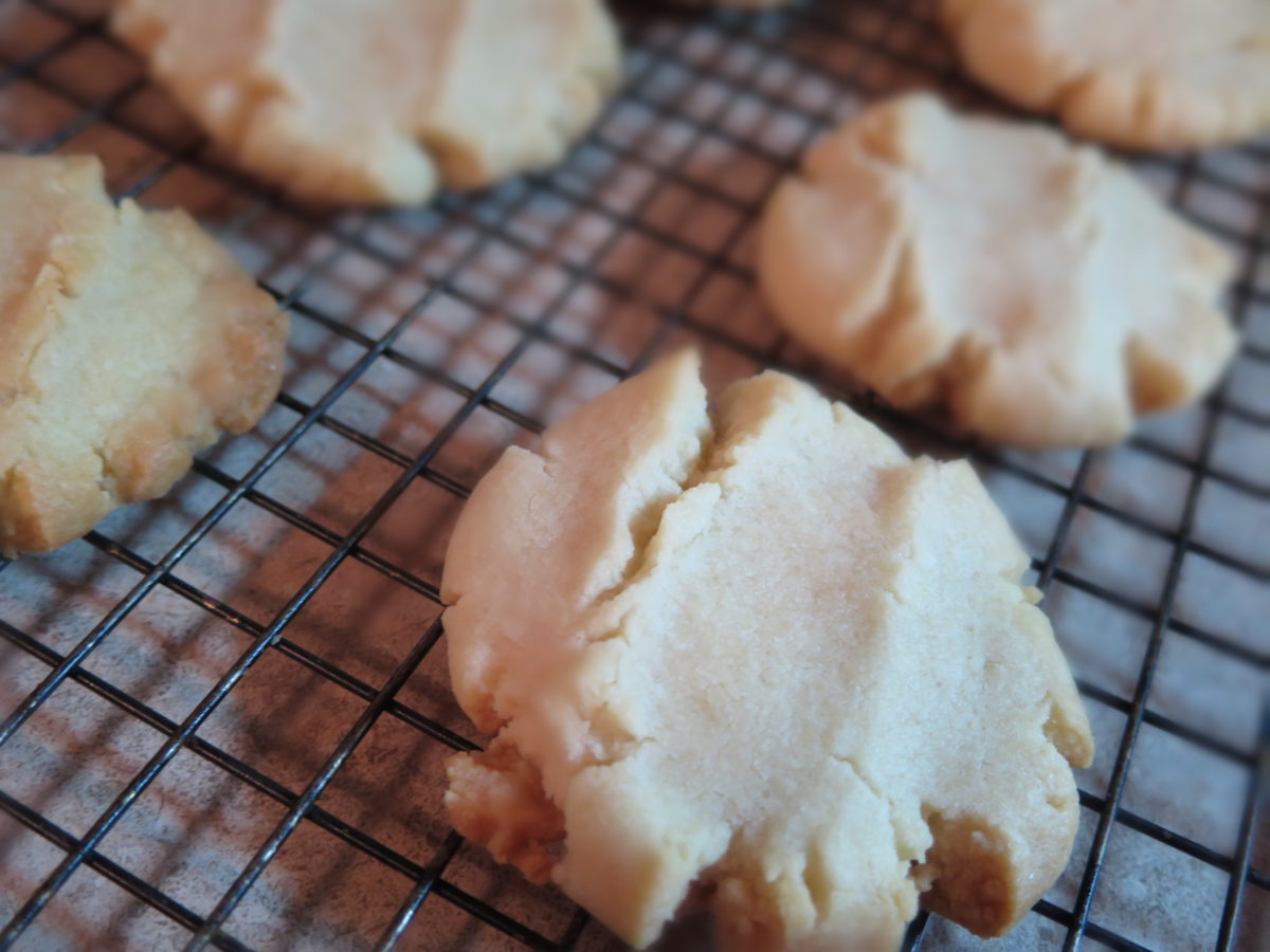 Lunchroom Butter Cookie Recipe Fun in Key West