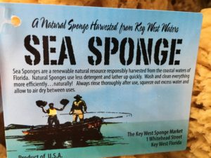 key west sponge market