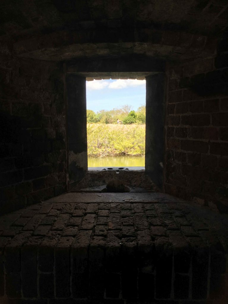 fort zachary taylor