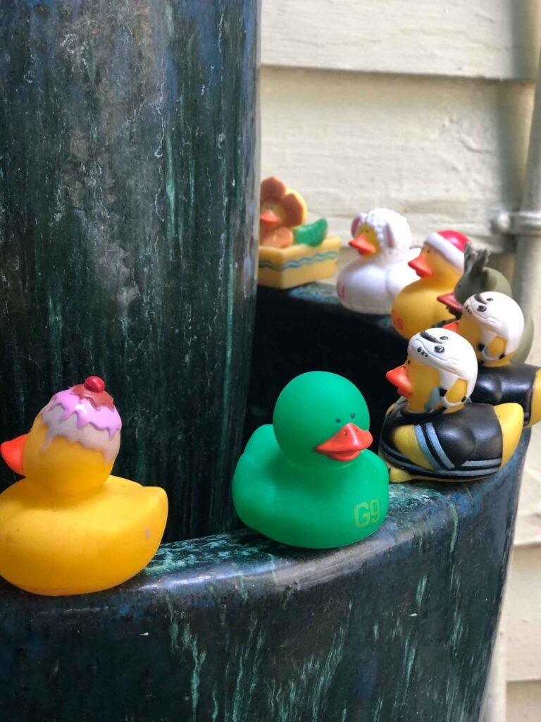 rubber ducks all lined up on ledge