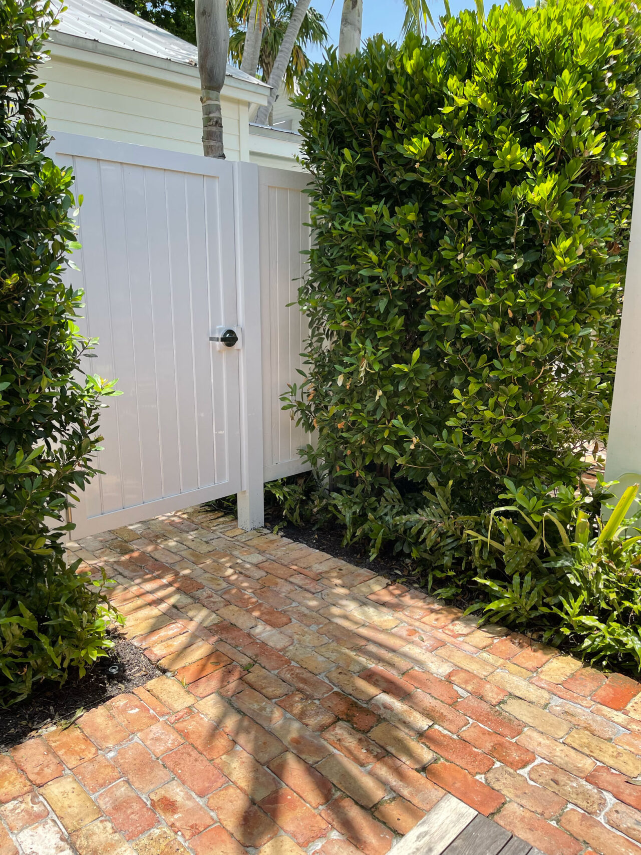 The Perfect 4 Day Key West Itinerary Fun In Key West the-perfect-4-day-key-west-itinerary-fun-in-key-west