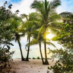 Key Largo vs. Key West: Which Destination Is Better?