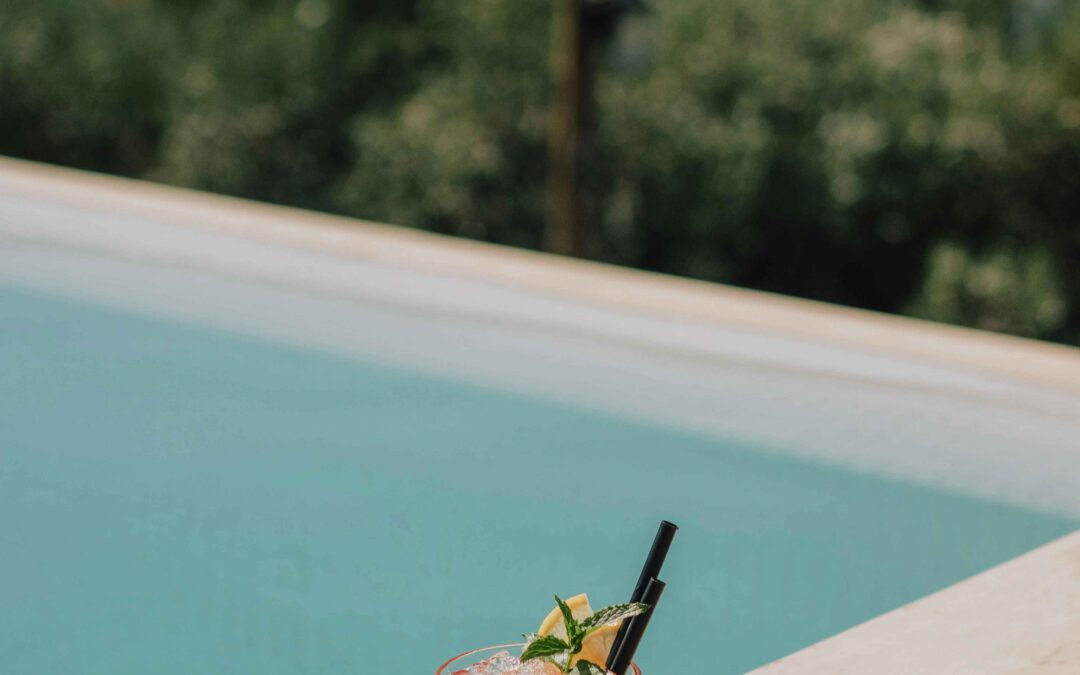 Holiday Gin Cocktails: Festive Sips with a Tropical Twist