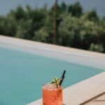 Holiday Gin Cocktails: Festive Sips with a Tropical Twist