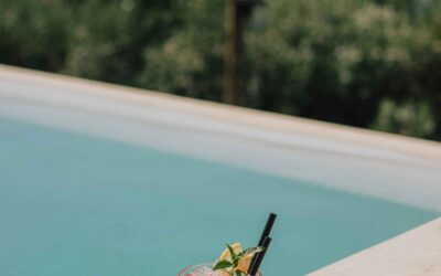 Holiday Gin Cocktails: Festive Sips with a Tropical Twist