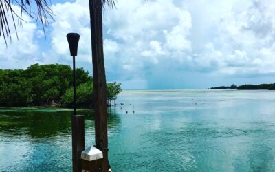 Your Guide to the Best Waterfront Restaurants in Key West