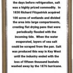 Forget Margaritas: How Salt Saved Early Key West