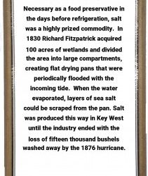 Forget Margaritas: How Salt Saved Early Key West