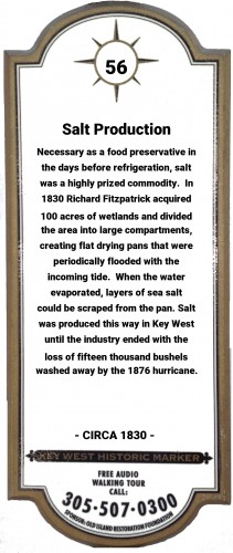 Forget Margaritas: How Salt Saved Early Key West