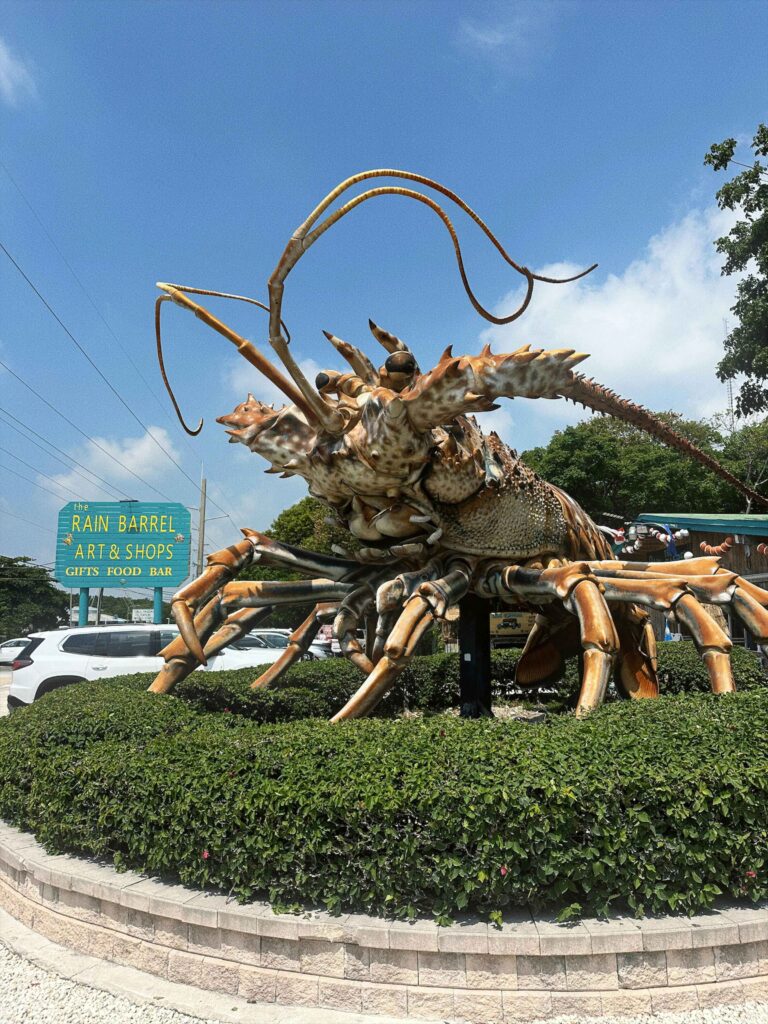 Besty the lobster things to do in the florida keys with families