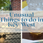 25 Unusual Things to Do in Key West, Florida